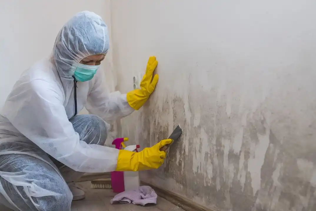 water damage restoration service Lakeview North